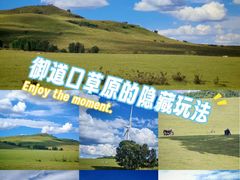 -御道口草原森林风景区