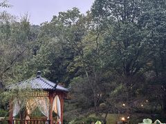 -龙井草堂