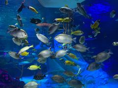 -沈阳海洋探索中心