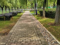 -天鹅湖体育公园