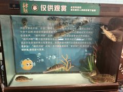-肆月河豚·淮扬菜·湘菜(华天店)