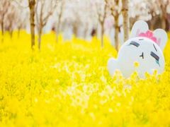 -古柏渡飞黄旅游区