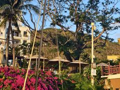 -亚龙湾海底世界