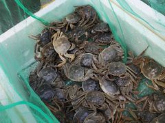 -马王堆海鲜水产市场