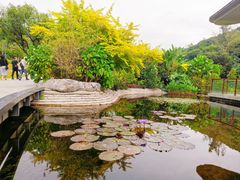 -云溪植物园