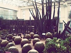 -石家庄市植物园