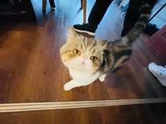 -参差咖啡(水果湖公园店)