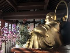 -北京凤凰岭