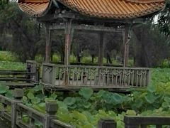 -安龙招堤