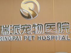 -瑞派康怡24h宠物医院·犬猫医疗中心·微创绝育(瑞景分院)