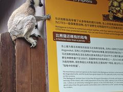 -宁波野生动物园