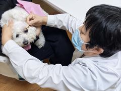 -北京观赏动物医院·24小时大型综合·猫专科·异宠专科