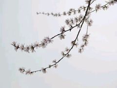 -前关湿地公园