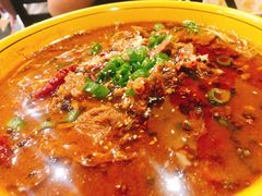 -熊猫川菜馆 panda chine