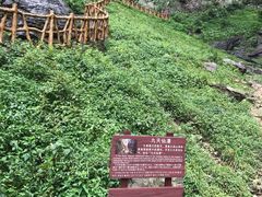 -燕子河大峡谷天坑仙境