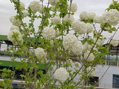 -茅草房·河畔园林火锅