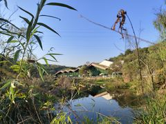 -西湖风景区-江洋畈生态公园