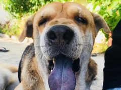 -西涌国际滨海旅游区