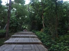 -仙岳公园