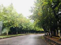 -重庆医科大学附属第一医院(金山院区)