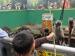 -成都欢乐谷