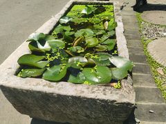 -天怡·鱼工厂(梅溪湖店)