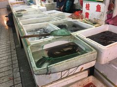 -崂山菜市场(上港小区店)