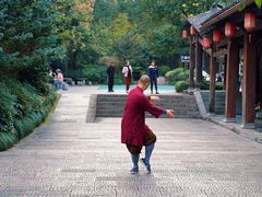 -杭州半山国家森林公园