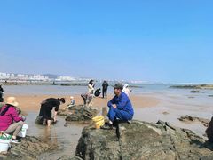 -巧克力渔家.小船海鲜胶东菜(万平口店)