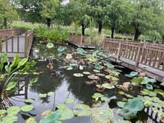 -五缘湾湿地公园