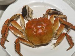 -青蓬蒸汽海鲜·深圳老字号·团建聚会(壹方城店)