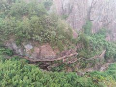 -玻璃桥景区石牛寨