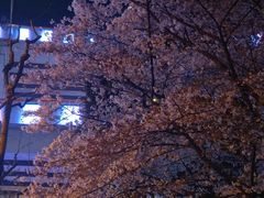 -上海南浦大桥长途旅游客运站