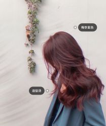 -IDESIGN艾迪赛 美学