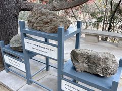 -周口店北京人遗址公园