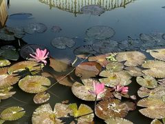 -五缘湾湿地公园