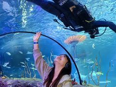 -沈阳海洋探索中心