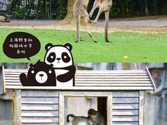 -上海野生动物园