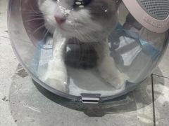 -FAELING PETS美天灵宠物(合生汇店)