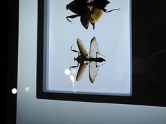 -上海昆虫博物馆