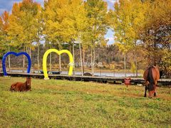 -北极村旅游风景区