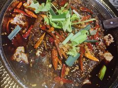 -肥家大排档(天河体育西店)
