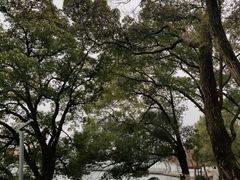 -食膳公园包子铺(烈士公园店)