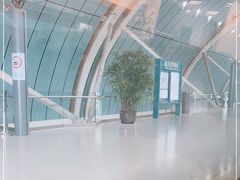 -龙阳路磁悬浮列车总站-停车场