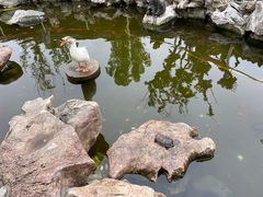 -龙华寺