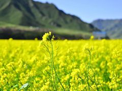 -扁都口生态休闲旅游区