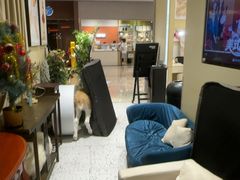 -海马体照相馆(佛山岭南站店)