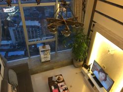 -ＤＯＭＯプロの美容サロン