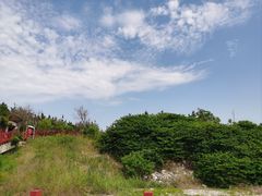 -养马岛旅游度假区