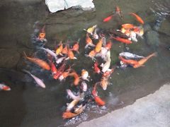 -森谷美食公园(杨行店)